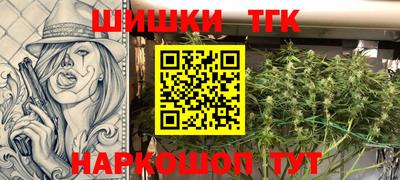 spice Дубна