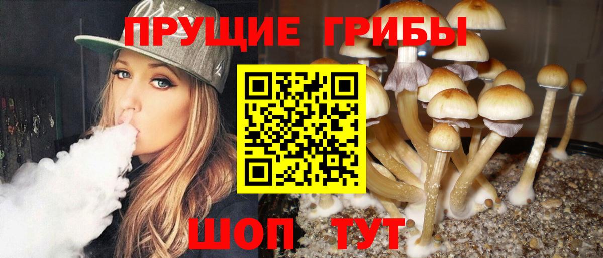 Псилоцибиновые грибы ЛСД Керчь